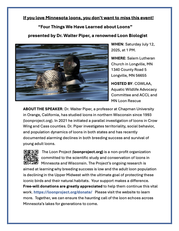 four thinks we have learned about loons